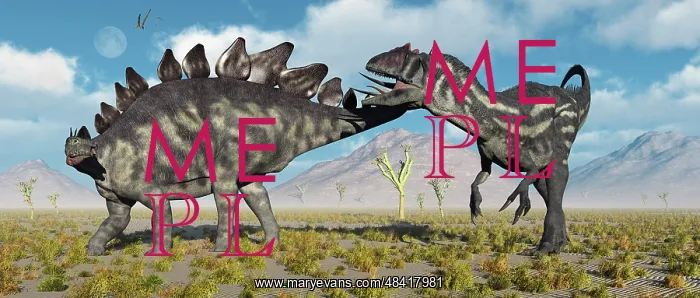 : A Stegosaurus defending itself from a predatory Allosaurus ? : A Stegosaurus defending itself from a predatory Allosaurus ?