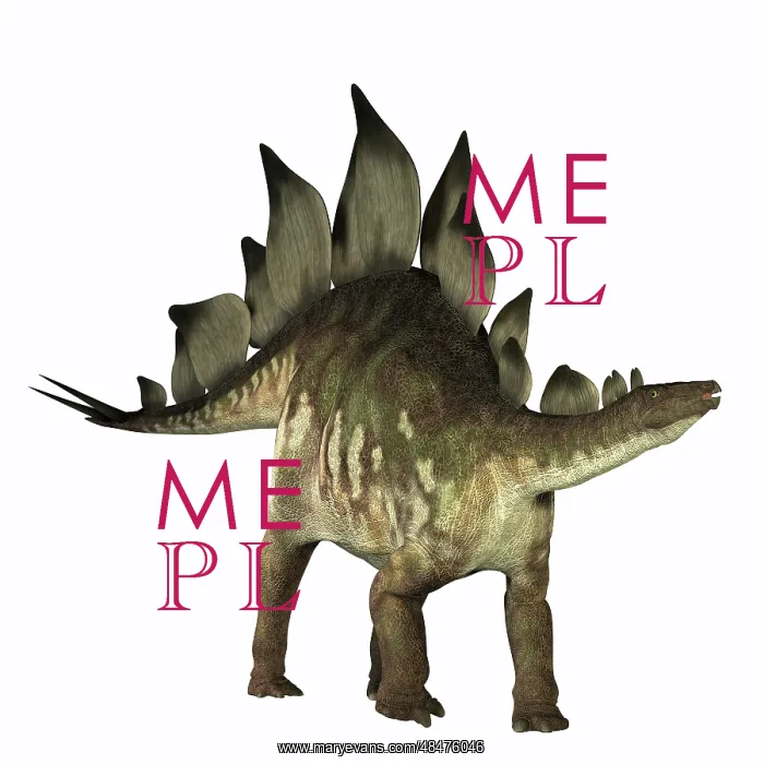 : Stegosaurus dinosaur : Stegosaurus dinosaur