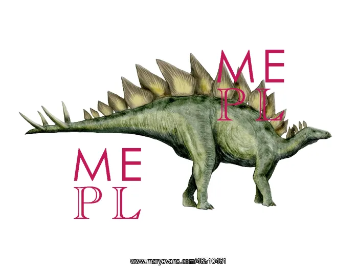 : Stegosaurus dinosaur : Stegosaurus dinosaur