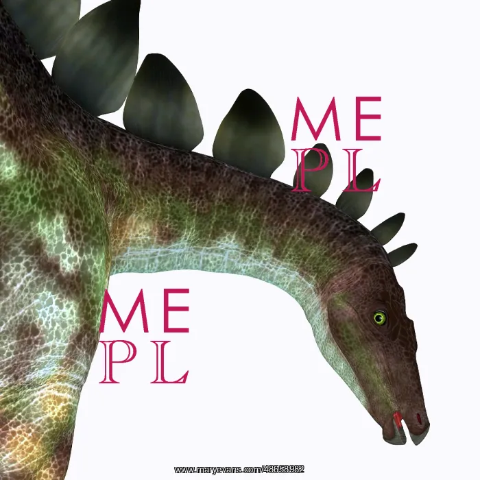 : Stegosaurus dinosaur head : Stegosaurus dinosaur head