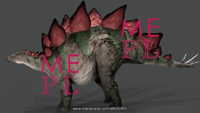 : Stegosaurus dinosaur, side view on gray background : Stegosaurus dinosaur, side view on gray background