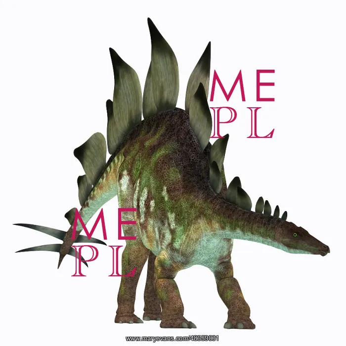 : Stegosaurus dinosaur on white background : Stegosaurus dinosaur on white background