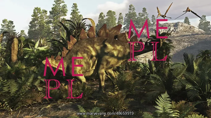 : A Stegosaurus hanging out : A Stegosaurus hanging out