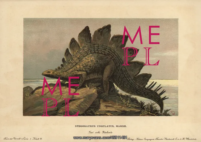 : Stegosaurus ungulatus, extinct ground-dwelling : Stegosaurus ungulatus, extinct ground-dwelling