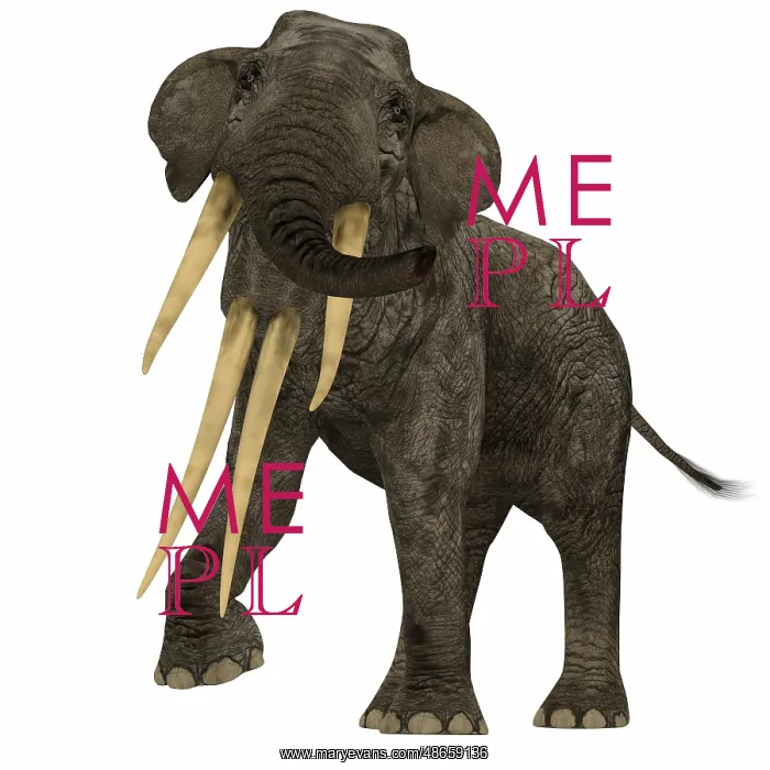 : Stegotetrabelodon primitive elephant : Stegotetrabelodon primitive elephant