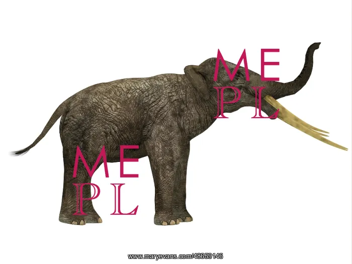 : Stegotetrabelodon primitive elephant, side profile : Stegotetrabelodon primitive elephant, side profile