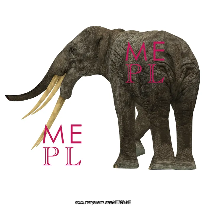 : Stegotetrabelodon primitive elephant, rear view : Stegotetrabelodon primitive elephant, rear view