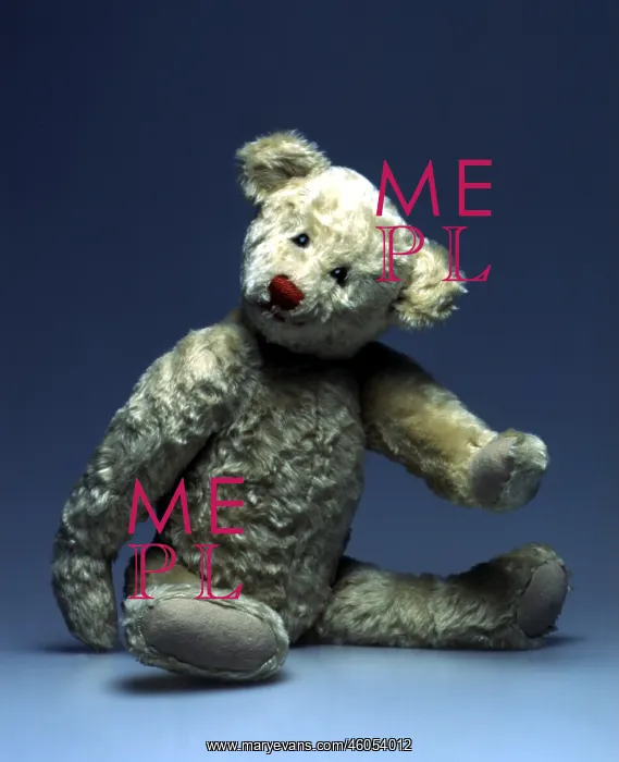 : Steiff Teddy Bear : Steiff Teddy Bear