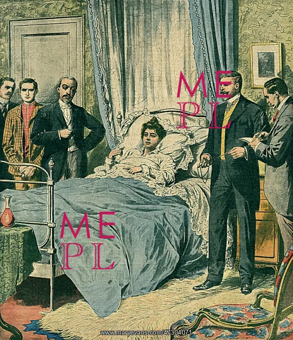 : STEINHEIL INTERROGATED : STEINHEIL INTERROGATED