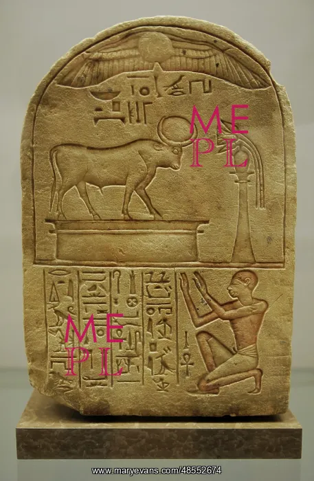 : Stele dedicated to bull Mnevis by laundryman Ipi. Egypt : Stele dedicated to bull Mnevis by laundryman Ipi. Egypt