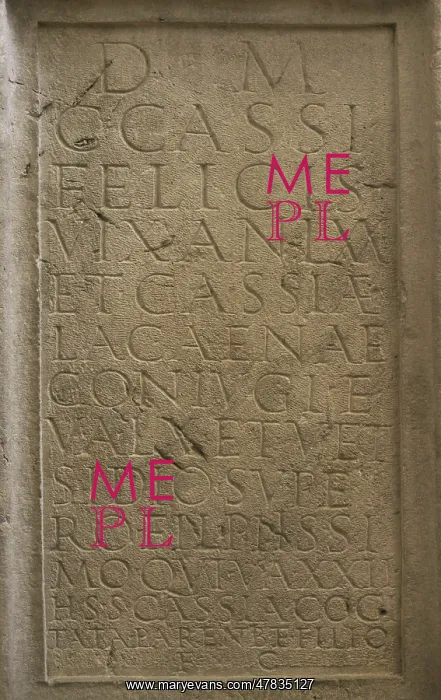: Stele erected by Cassia Cogitata in memory of : Stele erected by Cassia Cogitata in memory of