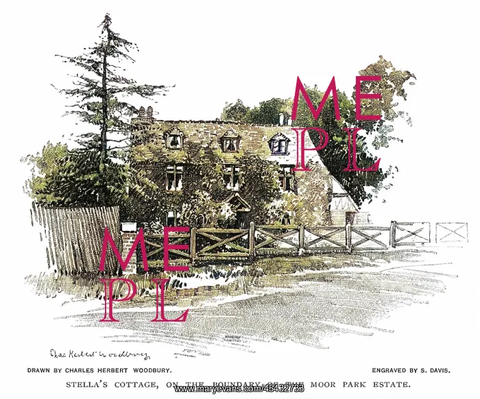 : STELLA'S COTTAGE : STELLA'S COTTAGE