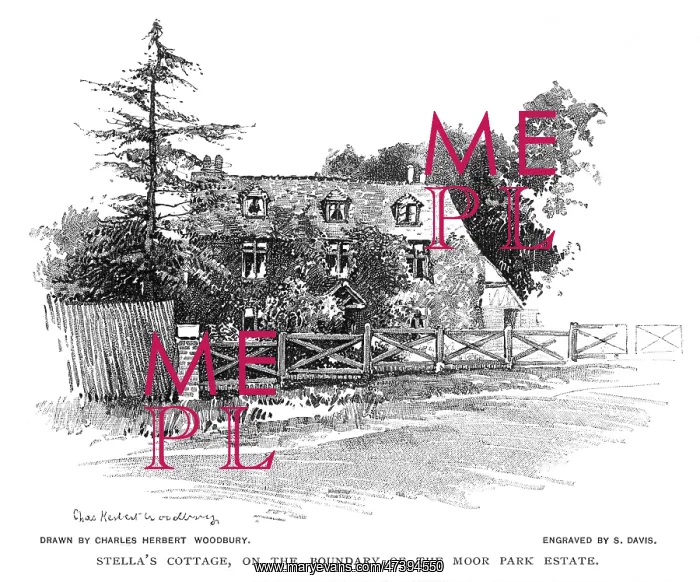 : STELLA'S COTTAGE : STELLA'S COTTAGE