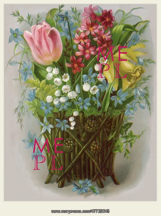 : Stem Basket Bouquet : Stem Basket Bouquet