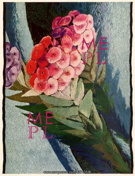  : Three Stems of Phlox