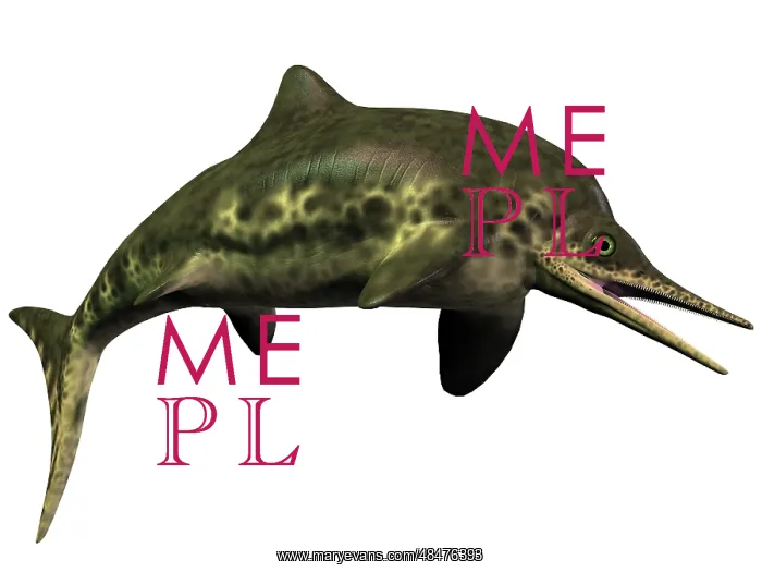: Stenopterygius was an ichthyosaur from the Jurassic Period : Stenopterygius was an ichthyosaur from the Jurassic Period