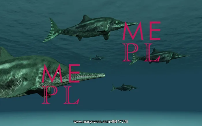 : Stenopterygius ichthyosaurs swimming underwater : Stenopterygius ichthyosaurs swimming underwater