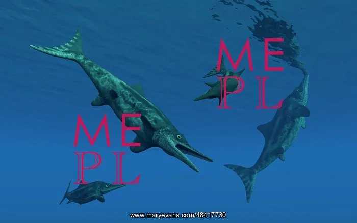 : Stenopterygius ichthyosaurs swimming underwater : Stenopterygius ichthyosaurs swimming underwater