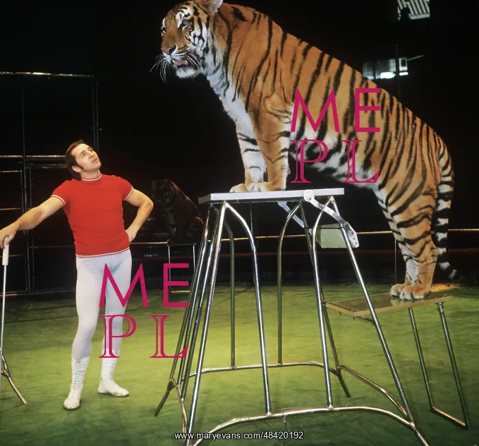 : Stepan Denisov with tiger, 1974 : Stepan Denisov with tiger, 1974