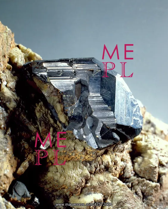 : Stephanite : Stephanite
