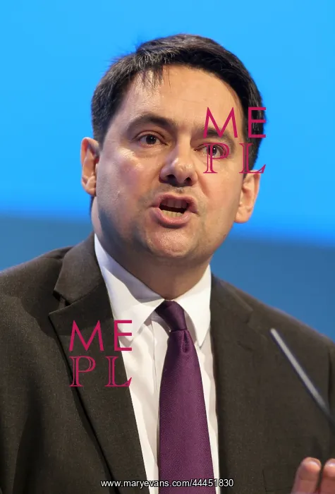 : Stephen Twigg MP MP : Stephen Twigg MP MP