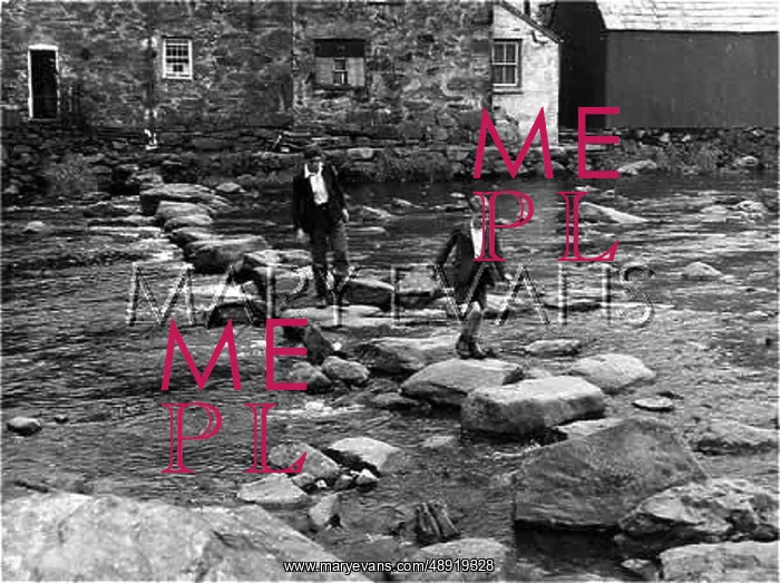 : STEPPING STONES : STEPPING STONES
