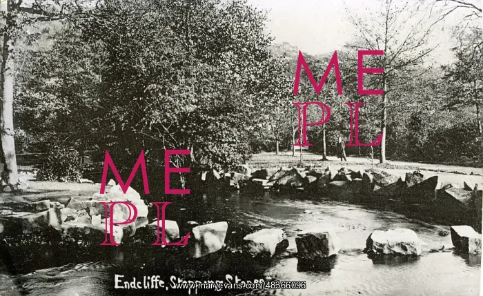 : Stepping Stones, Endcliffe Park, Sheffield, Yorkshire : Stepping Stones, Endcliffe Park, Sheffield, Yorkshire