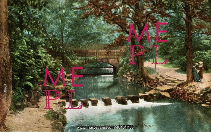 : Stepping Stones, Jesmond Dean, County Durham : Stepping Stones, Jesmond Dean, County Durham