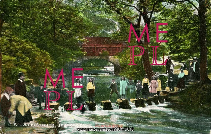 : Stepping Stones, Jesmond Dene, County Durham : Stepping Stones, Jesmond Dene, County Durham