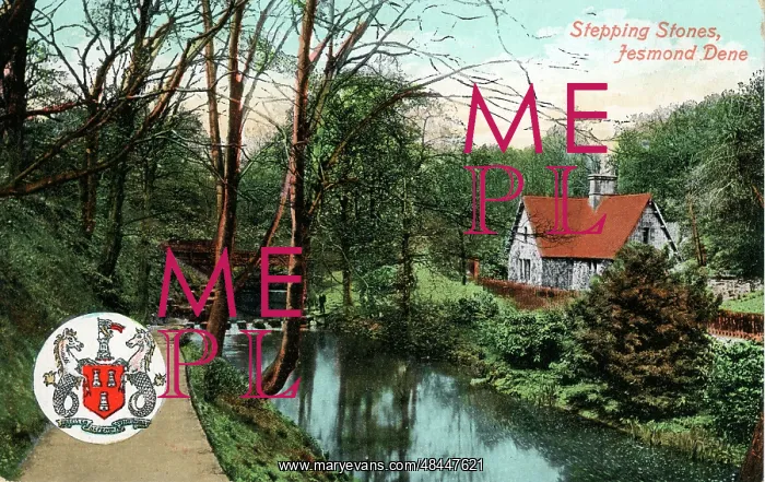 : Stepping Stones, Jesmond Dene, County Durham : Stepping Stones, Jesmond Dene, County Durham