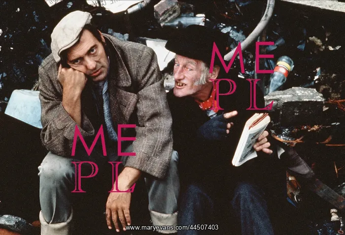 : Steptoe And Son (1972) : Steptoe And Son (1972)