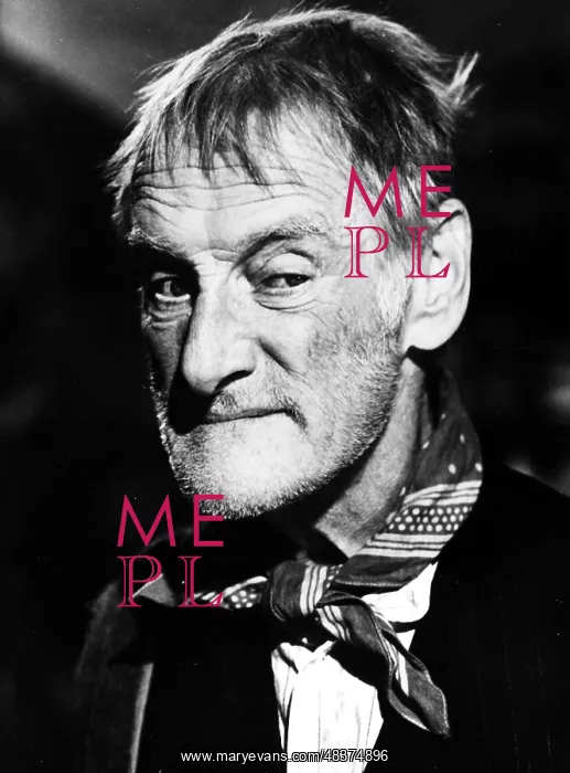 : STEPTOE AND SON : STEPTOE AND SON