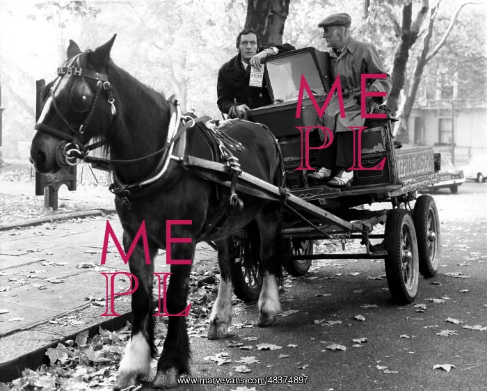 : STEPTOE AND SON : STEPTOE AND SON