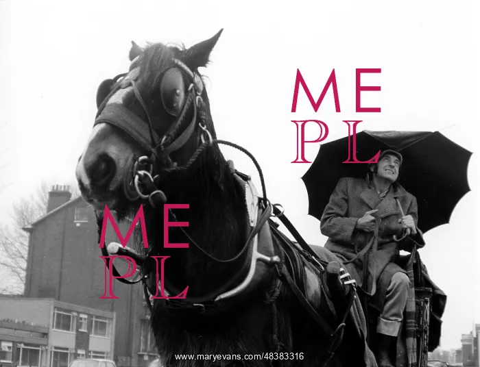 : STEPTOE AND SON : STEPTOE AND SON