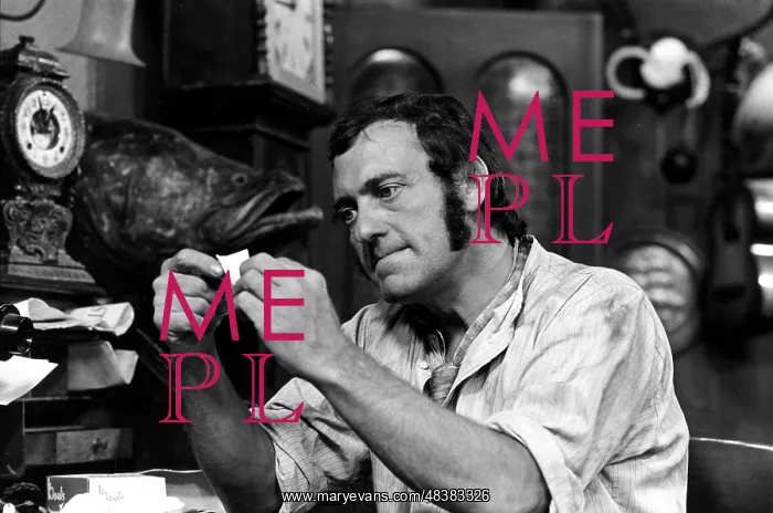 : STEPTOE AND SON : STEPTOE AND SON