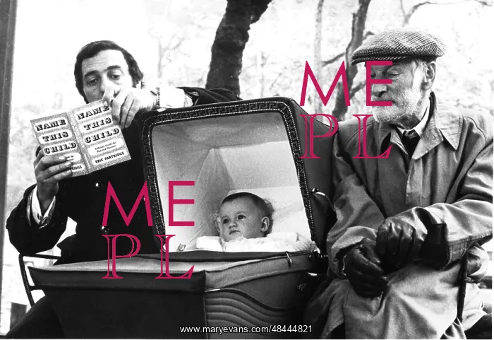 : STEPTOE AND SON : STEPTOE AND SON