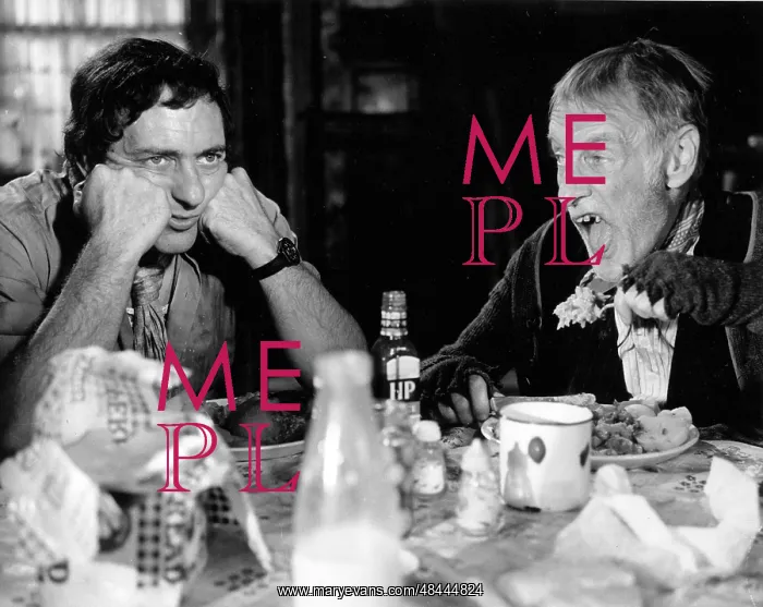 : STEPTOE AND SON : STEPTOE AND SON