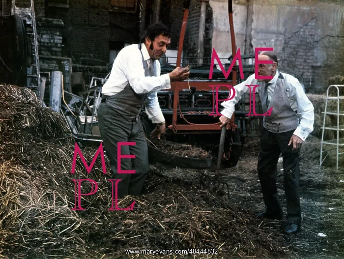 : STEPTOE AND SON : STEPTOE AND SON