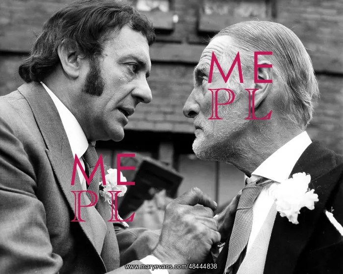 : STEPTOE AND SON : STEPTOE AND SON