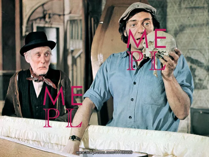 : Steptoe And Son Ride Again (1973) : Steptoe And Son Ride Again (1973)
