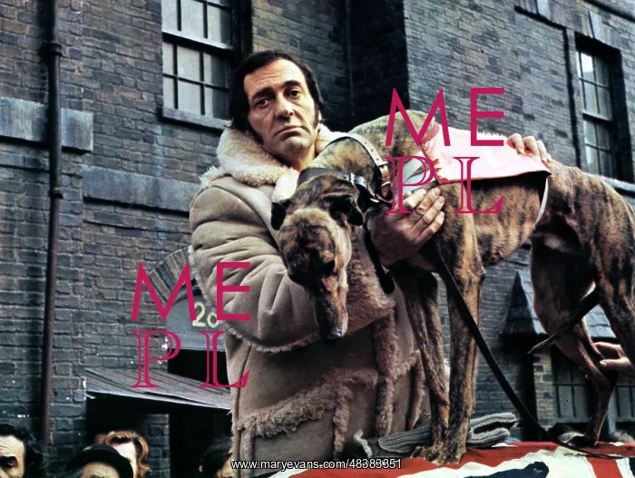 : STEPTOE AND SON RIDE AGAIN : STEPTOE AND SON RIDE AGAIN