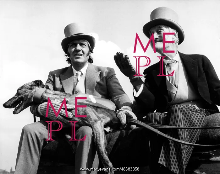 : STEPTOE AND SON RIDE AGAIN : STEPTOE AND SON RIDE AGAIN
