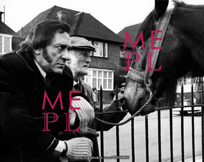 : STEPTOE AND SON RIDE AGAIN : STEPTOE AND SON RIDE AGAIN