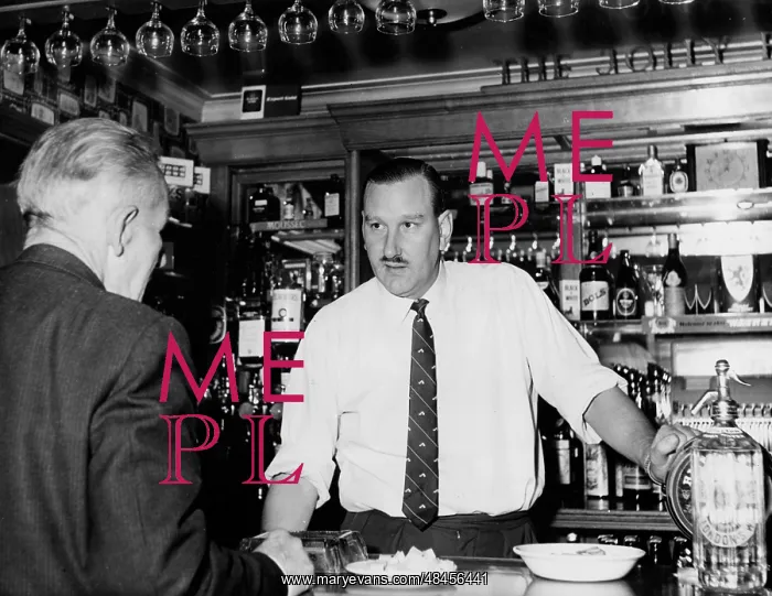 : STERN PUBLICAN : STERN PUBLICAN