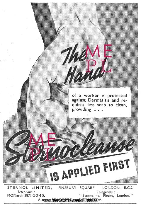 : Sternol Sternolene Sternocleanse Barrier : Sternol Sternolene Sternocleanse Barrier
