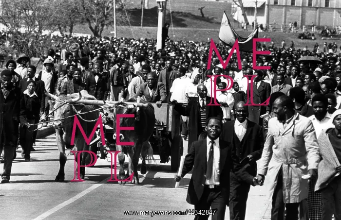 : Steve Biko - A nation weeps : Steve Biko - A nation weeps