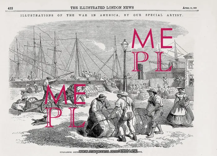 : Stevedores unloading cotton from blockade : Stevedores unloading cotton from blockade