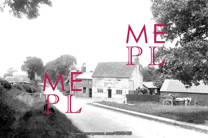  : Stevenage, Coreys Mill 1903