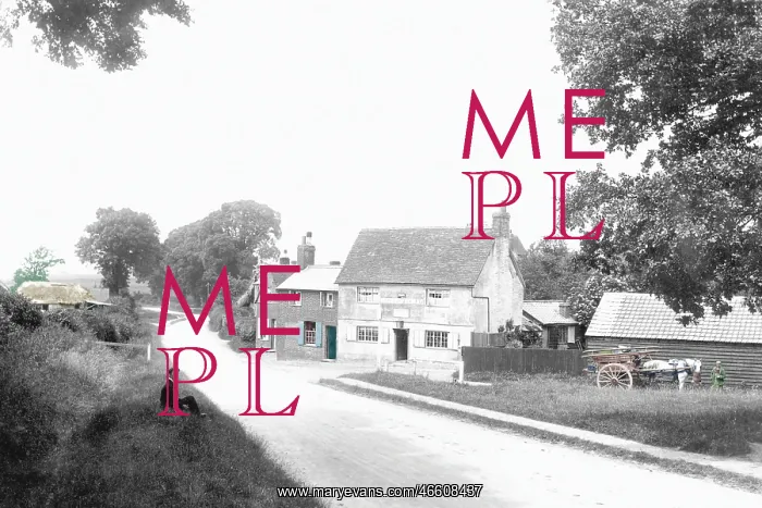  : Stevenage, Coreys Mill 1903