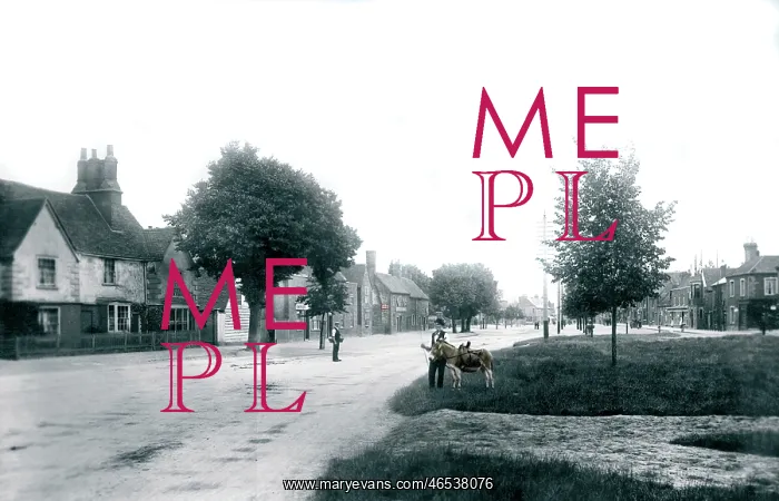  : Stevenage, High Street 1903